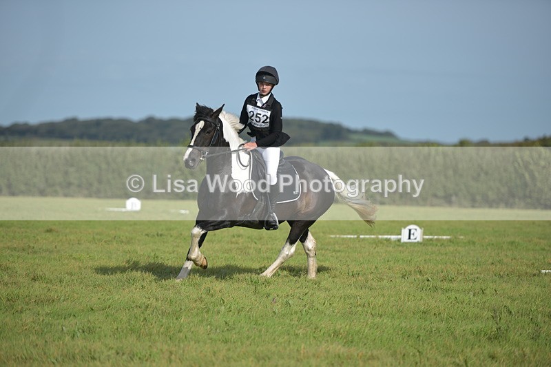 RAY_7633 - Class 2B: Trekenning Open: Dressage