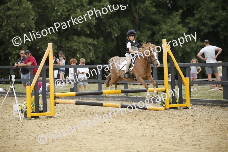 20250622-6133 - 60cm