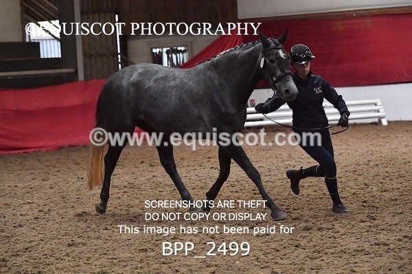 BPP_2499 - LOOSE JUMPING / SPSS