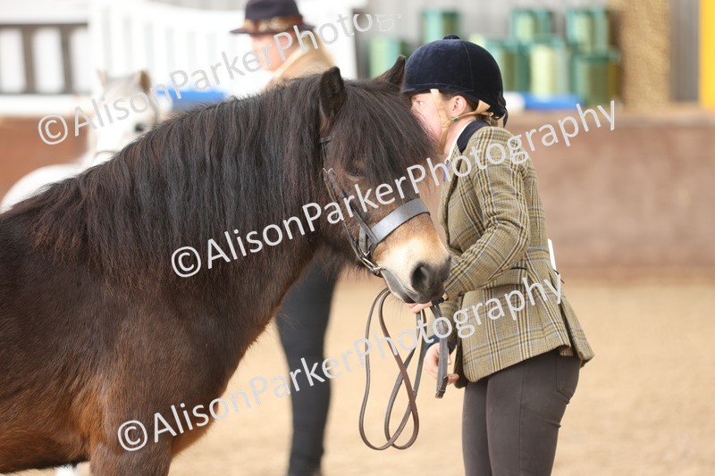 20251109-0622 - Class 22 - Geldings 4 Years and over