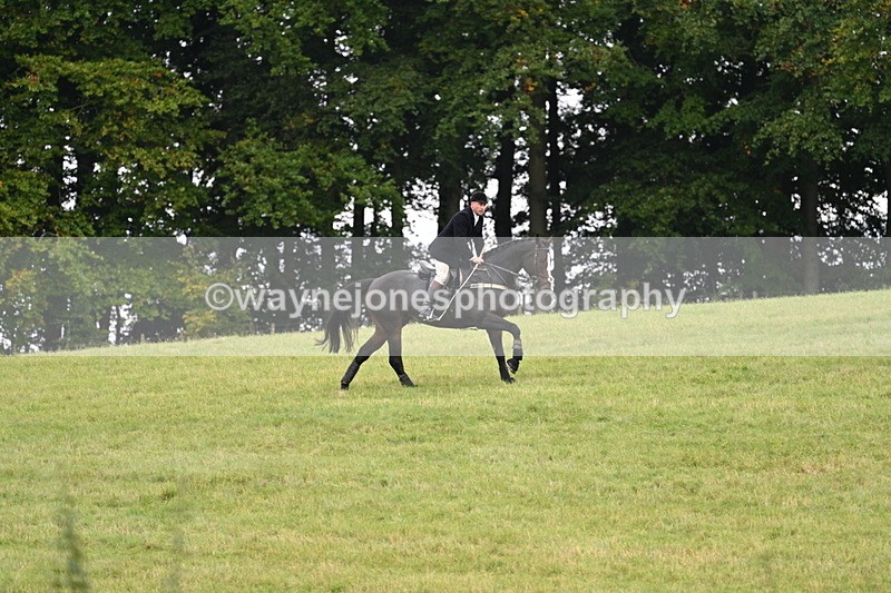 WJ7_4035 - Camera 1 Line 2