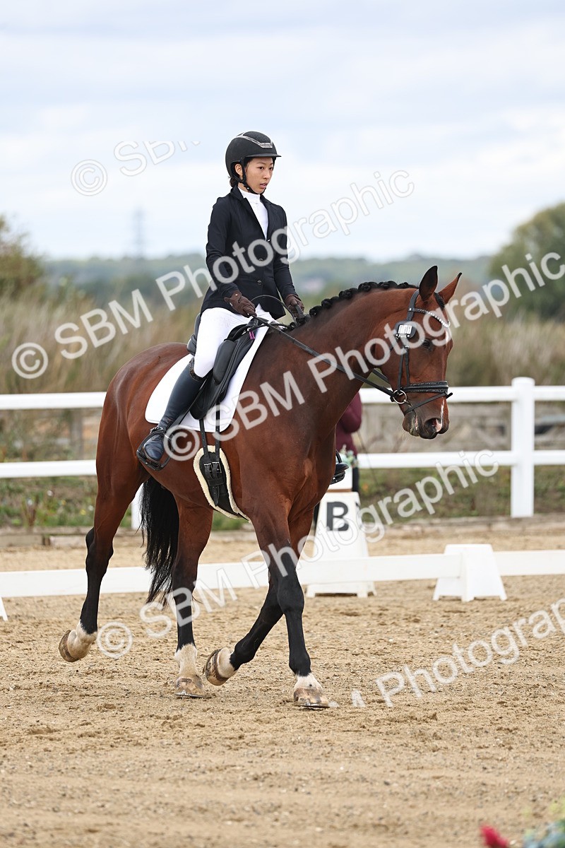 SBM_002512 - Class 7 - Novice 2 Warm Up