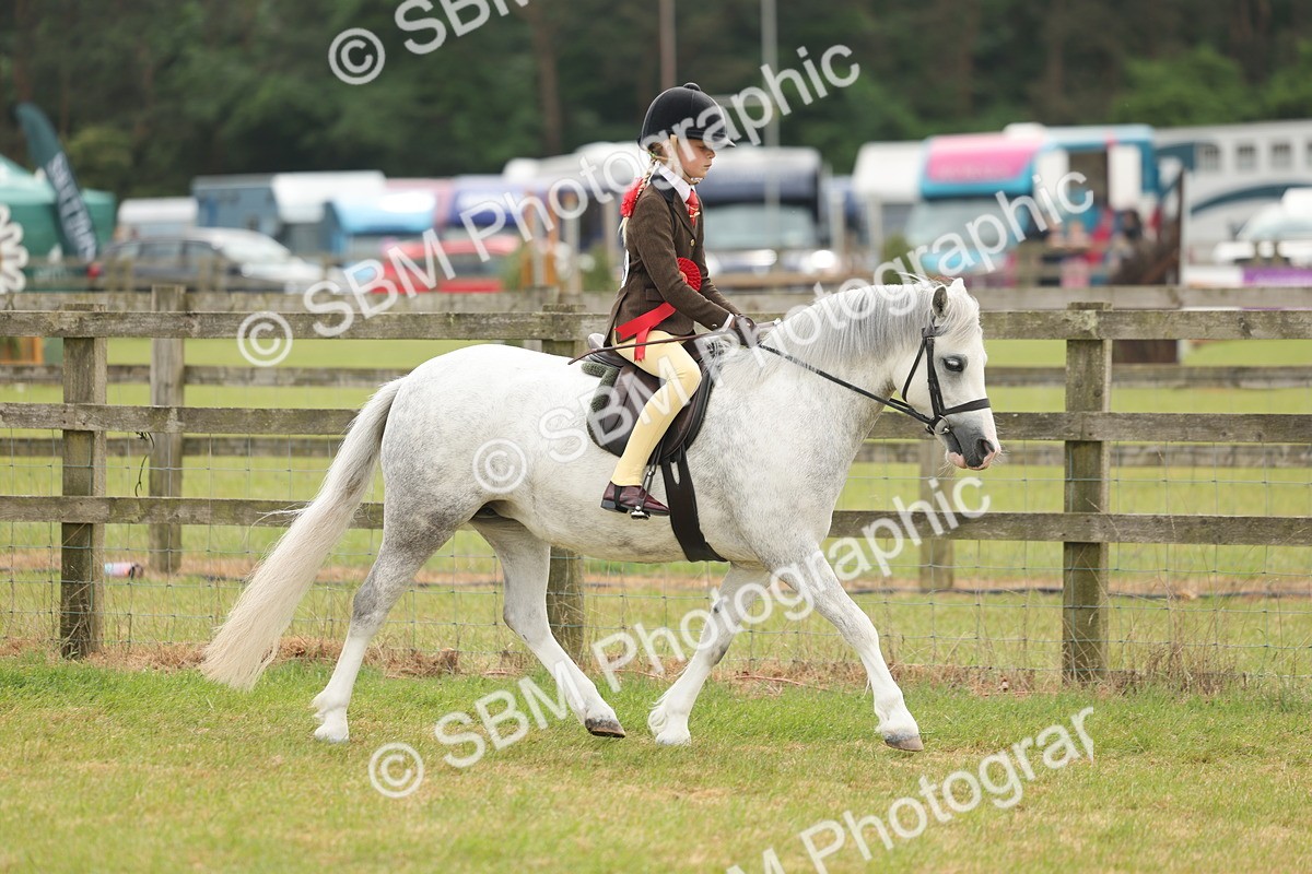 SBM_06917 - Class 74-75 - M&M Lead Rein and First Ridden Pony