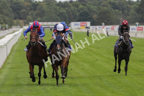 yr23072022r3-19 - Race 3 3.15pm Sky Bet York Stakes
