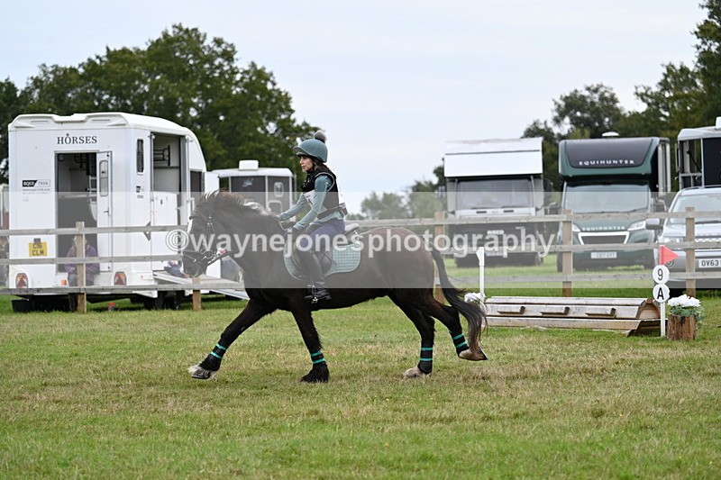 WJ7_7673 - 40cm Time 10:49 to 11:18