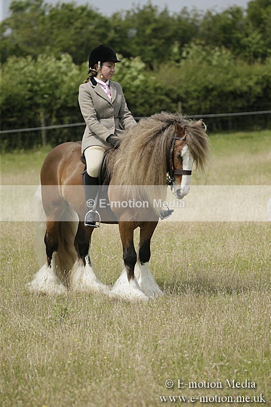 B230619-0454 - Bourne Valley Riding Club Summer Show 23/06/19