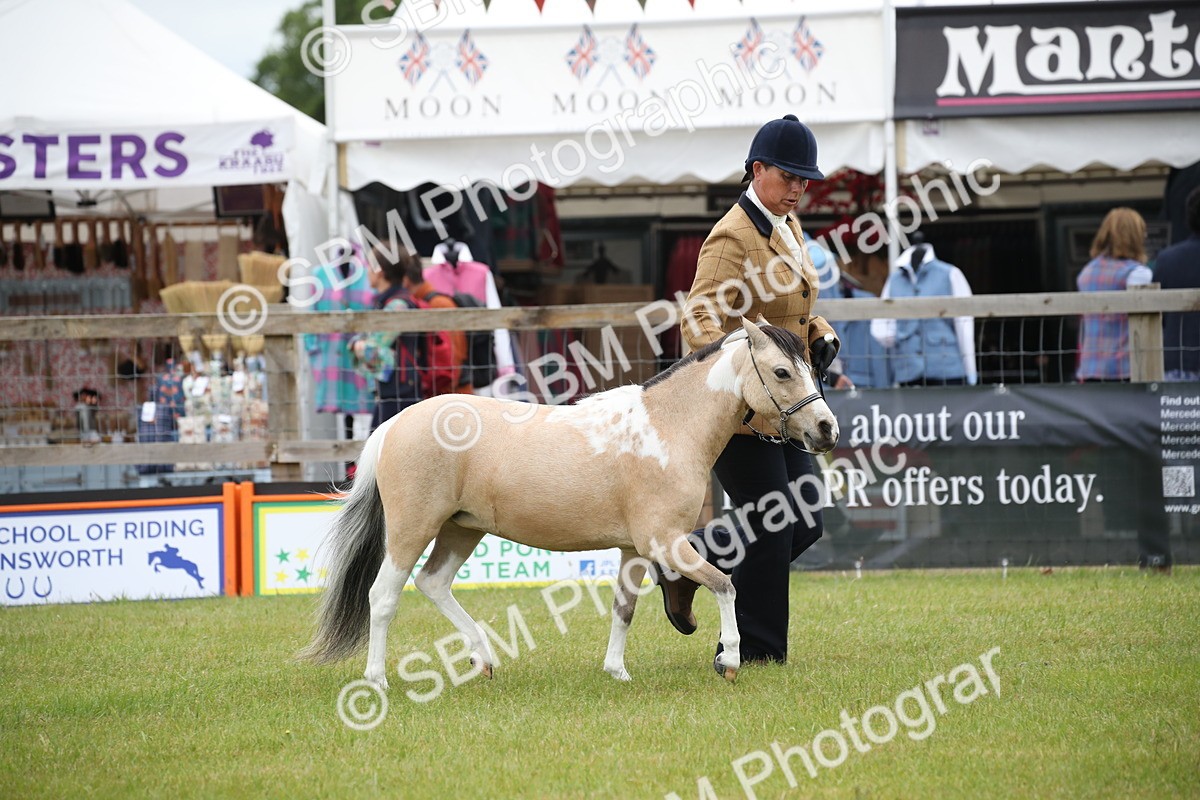 SBM_03935 - Class 23-25 - British Miniature Horse of the Year