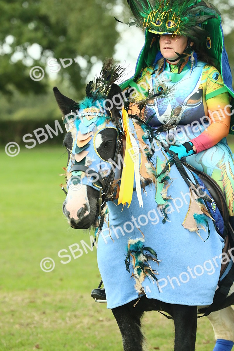 SBM_63682 - S35 - Fancy Dress Showing