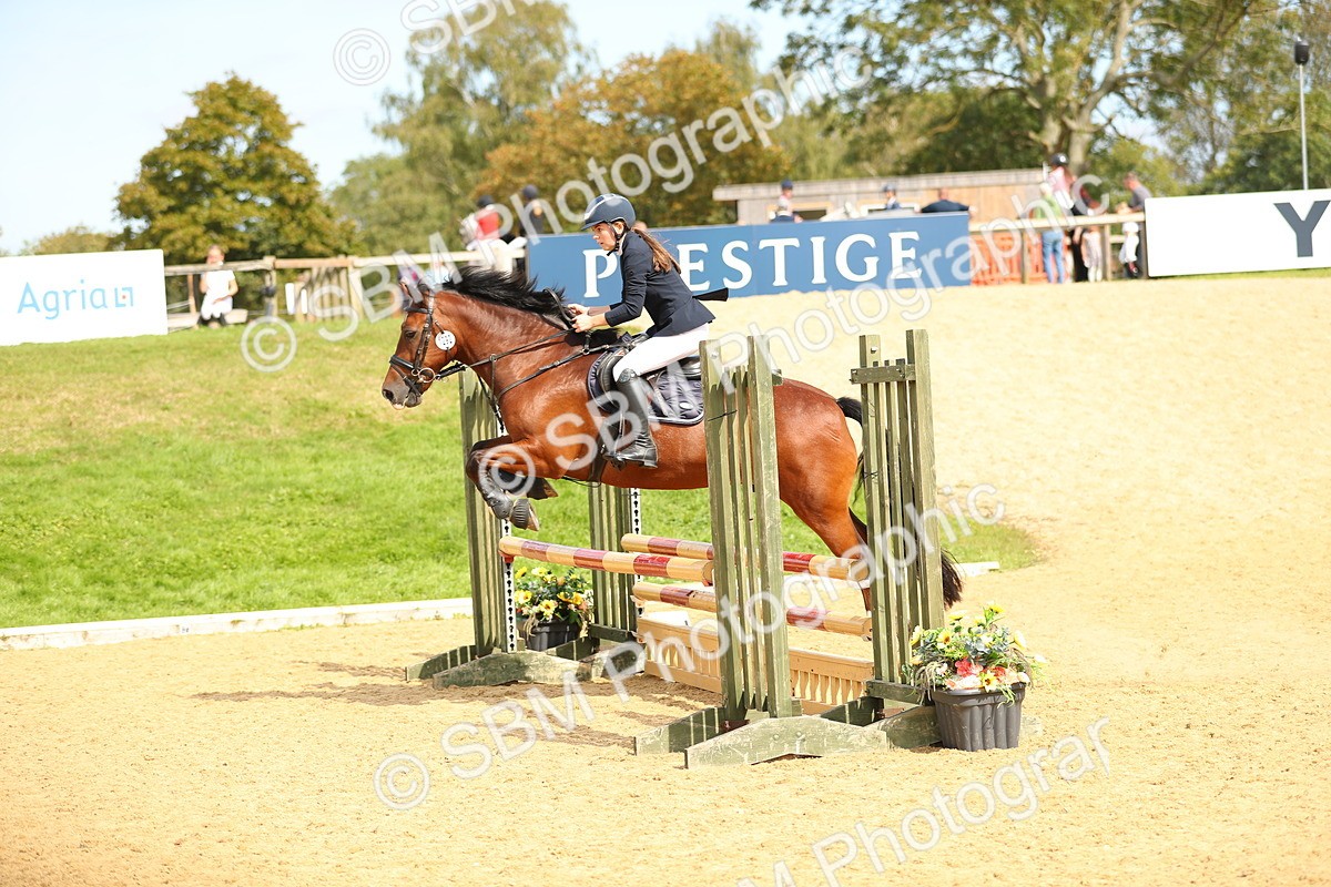 SBM_66180 - J17 - Junior Pony 80cm Championship