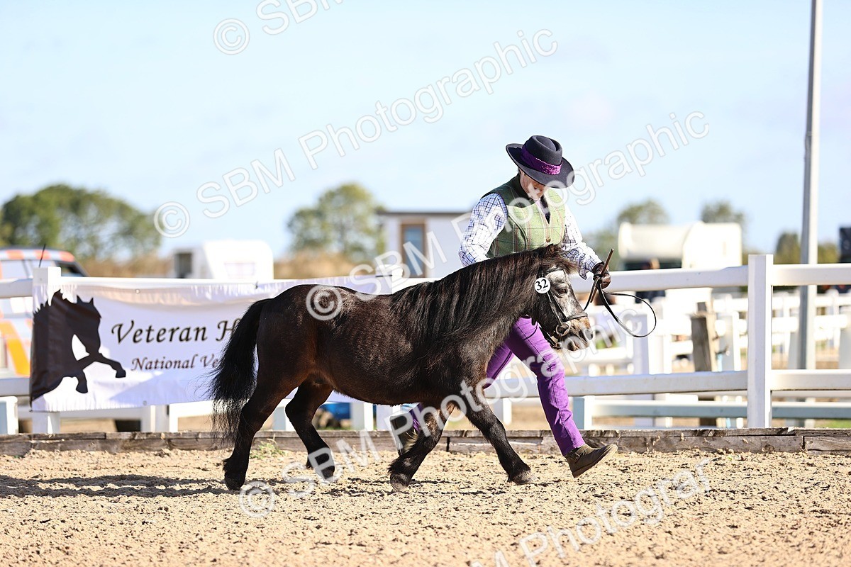 SBM_08449 - Class 402 - IH Veteran Pony