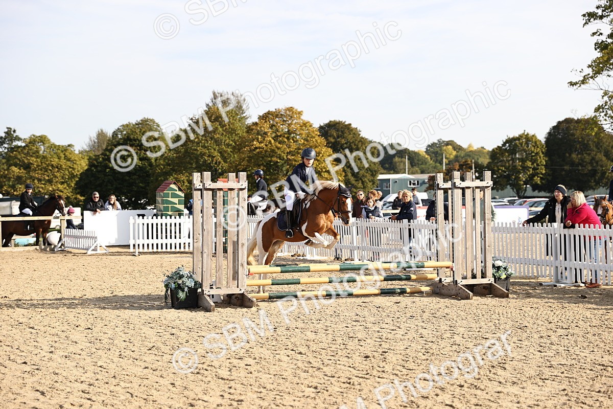 SBM_59705 - J11 - Junior Pony 50cm Championship