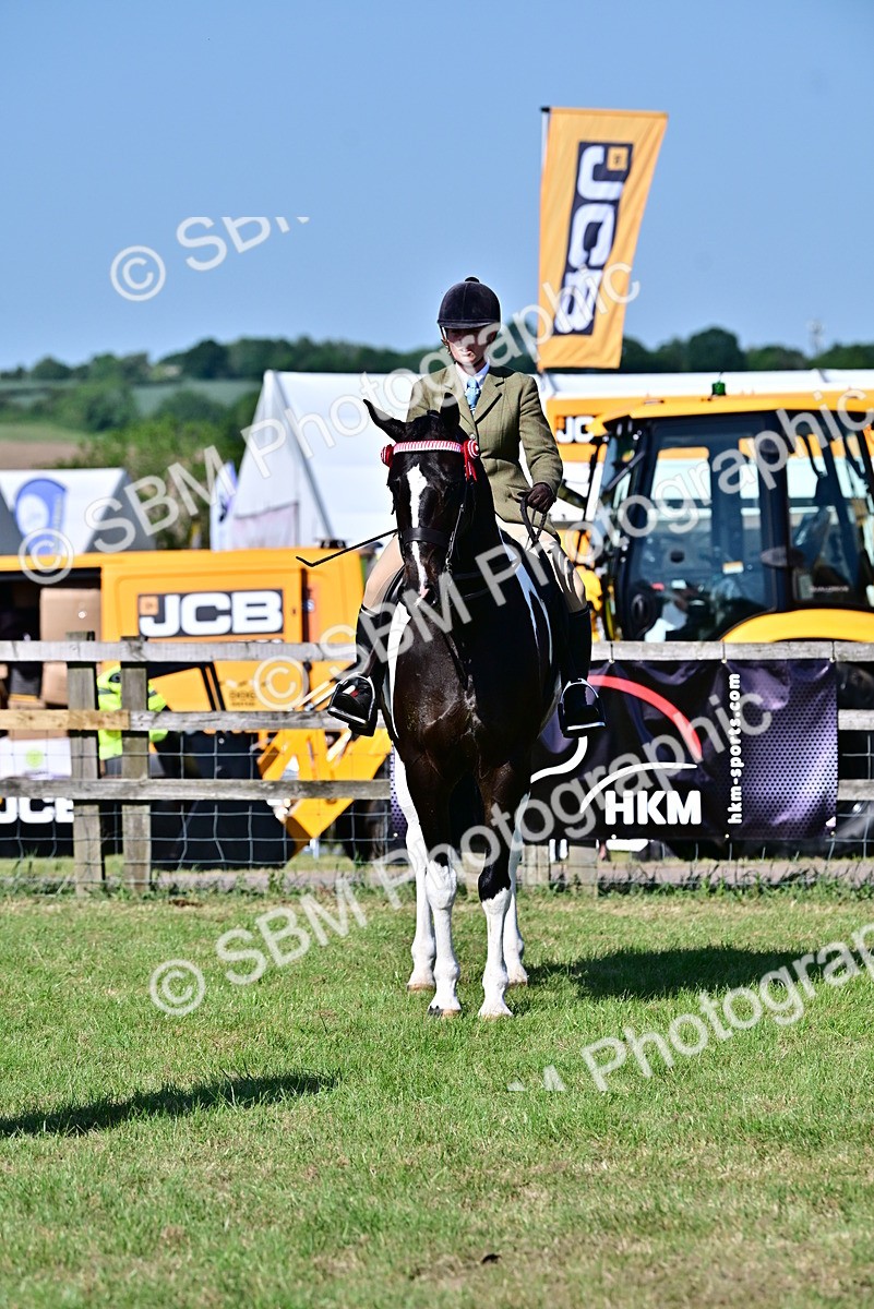 SBM_19505 - Class 101-102 - BSPS LIHS Performance Coloured Horse/Pony