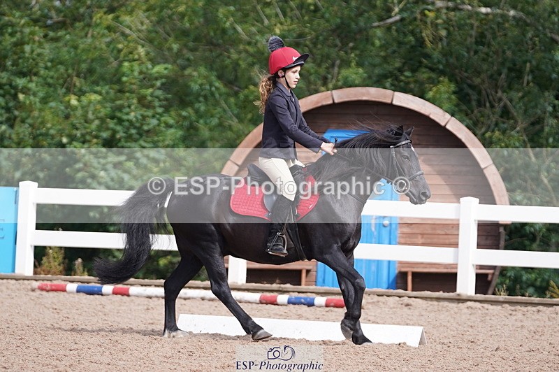 240809A-102602-00542 - Dressage Competition
