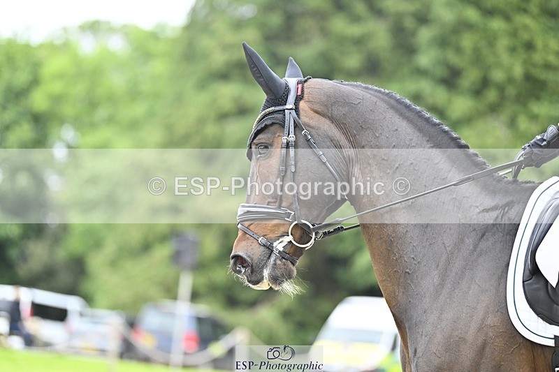 240523-165456-05572 - 448-DISCO_TRAVELER-Molly_Duda