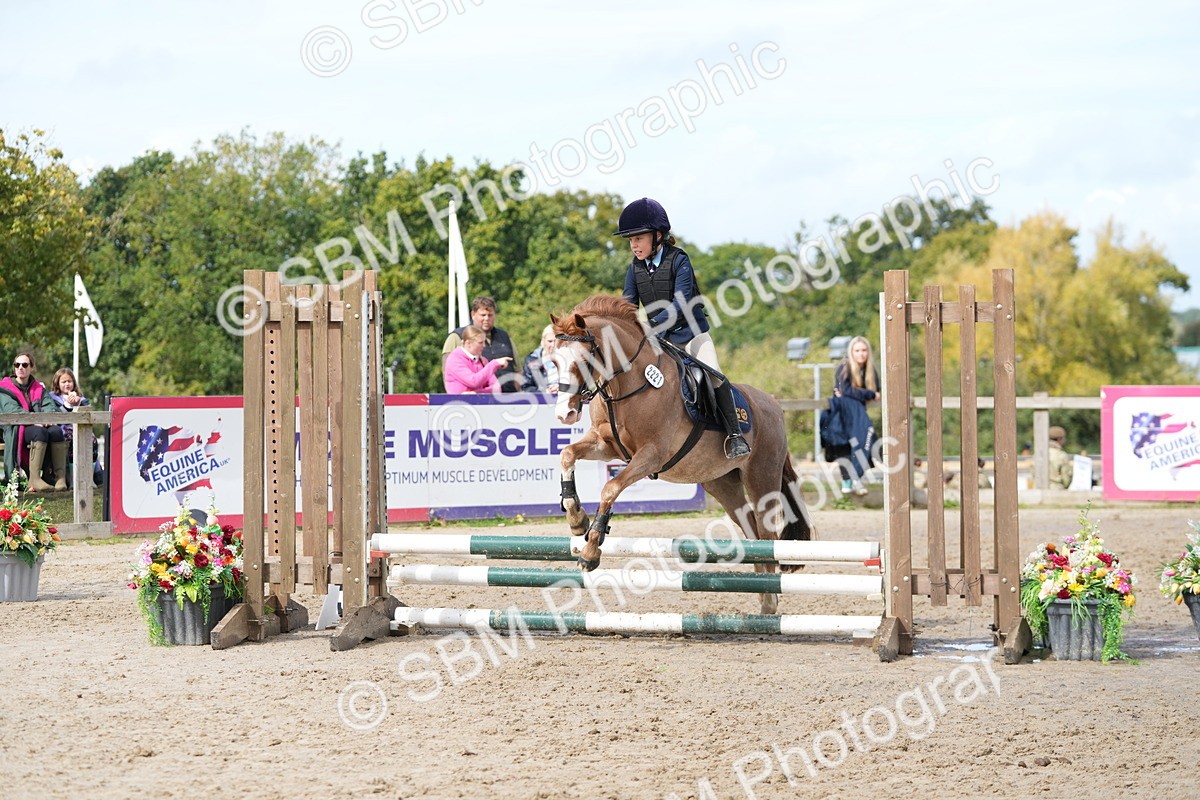 SBM_40744 - Supreme Championship Pony 50-55cm