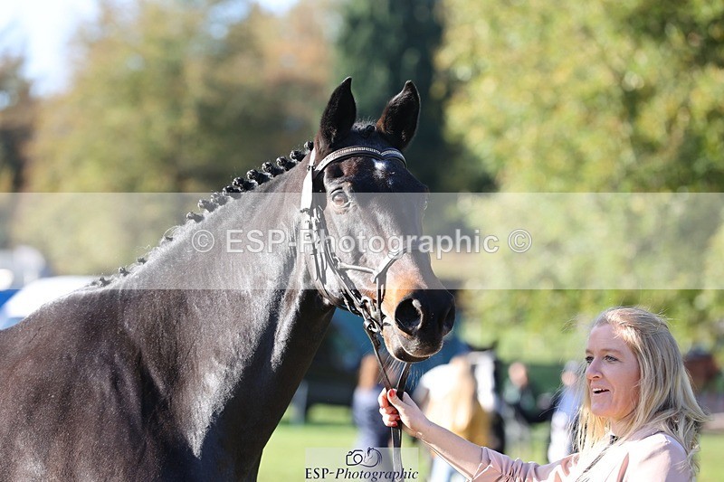 241027-095236-15554 - 372-Michelle.Newnham-LOUIS.HS