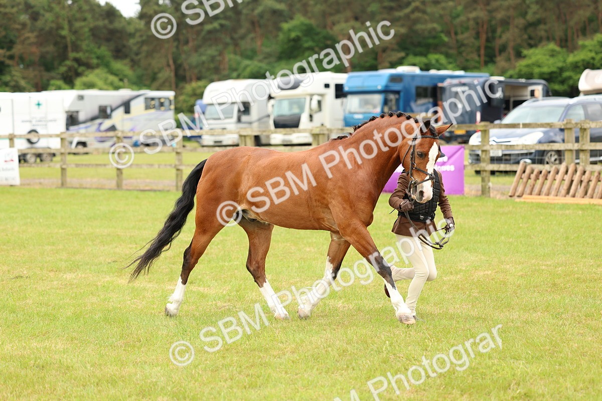 SBM_10256 - Class 44-45 - LIHS BSPS Open Nursery and Cradle Stakes