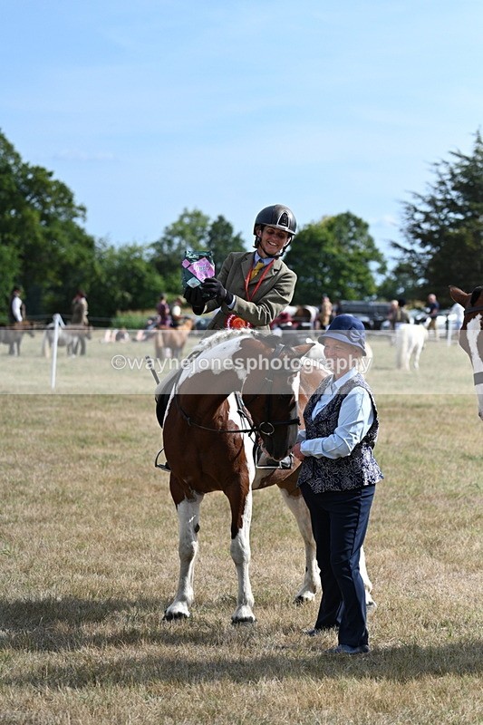 WJ7_7381 - Class 14 Ridden Coloured
