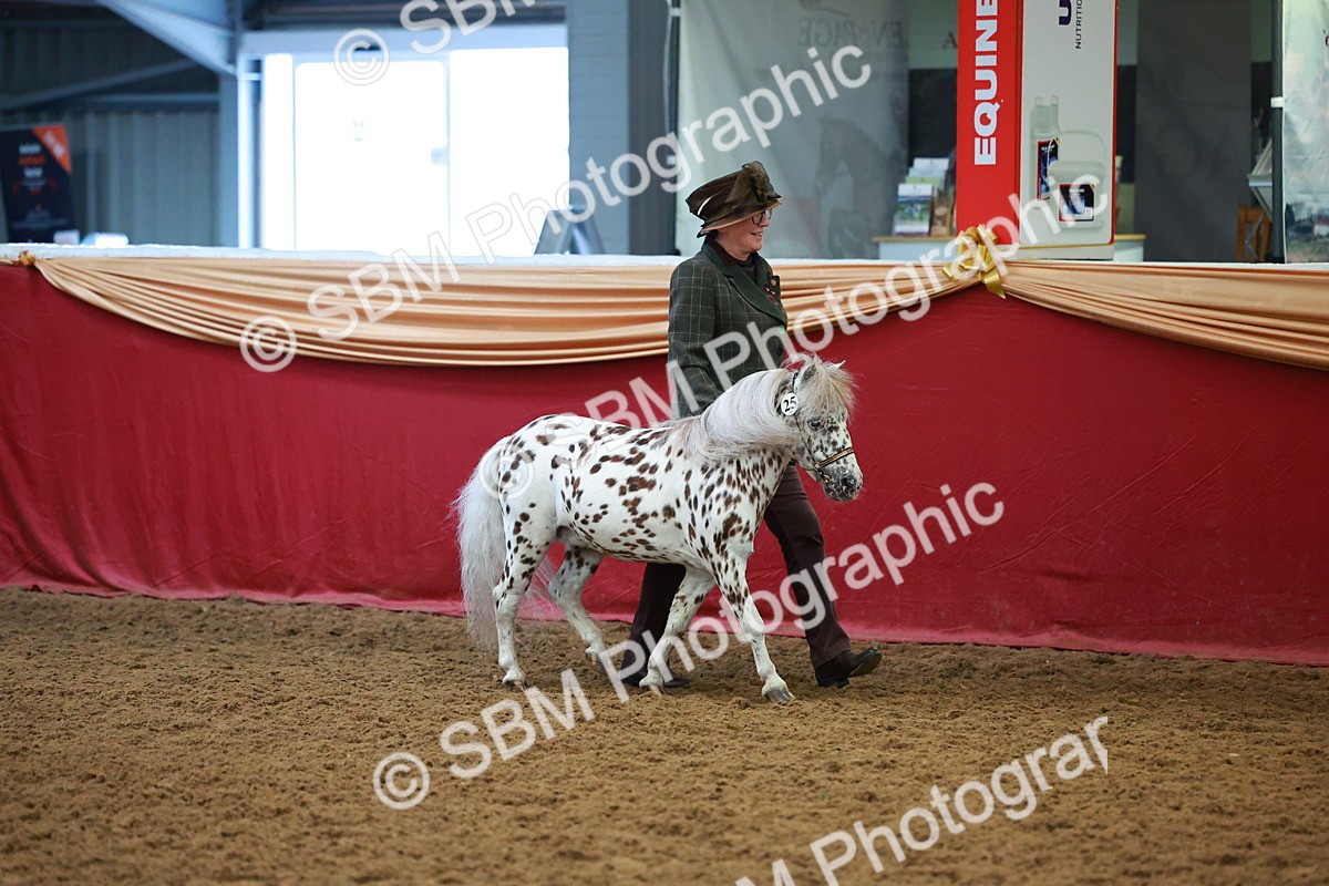 SBM_15976 - Class 901 - Sup Final - IH Diamond