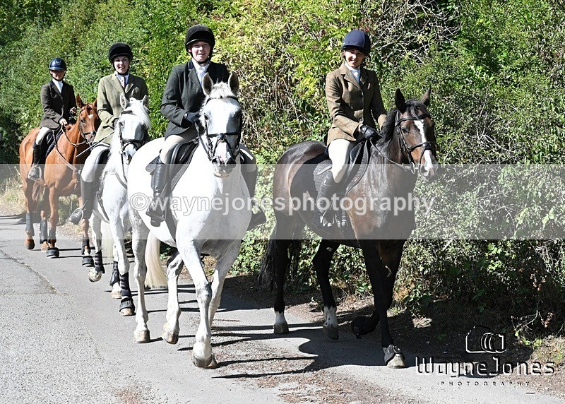 WJ7_0443 - Berks & Bucks - Hound Exercise – Kennels 06-09-26