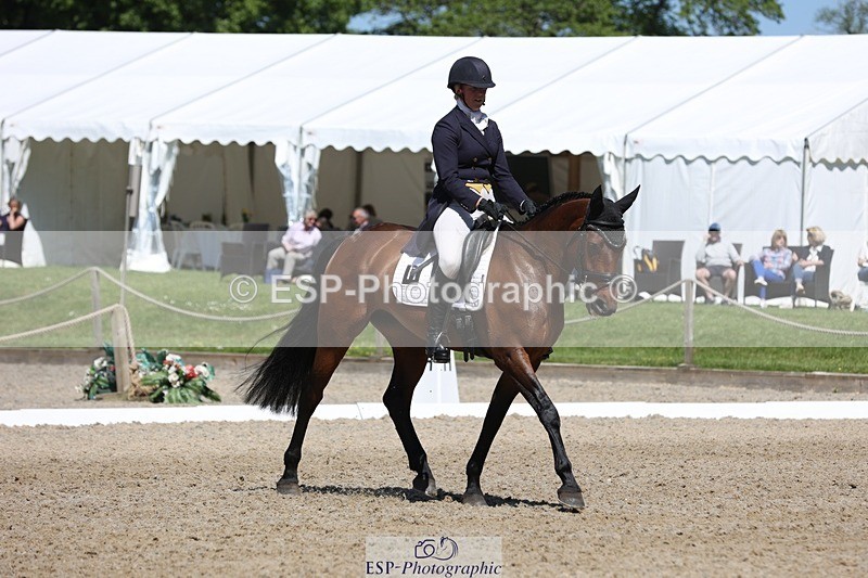 230526-111602-06020 - 151-GREANNANSTOWN_QUARRYMAN_GIRL-Grace_Taylor-WEDTrotUp+DR