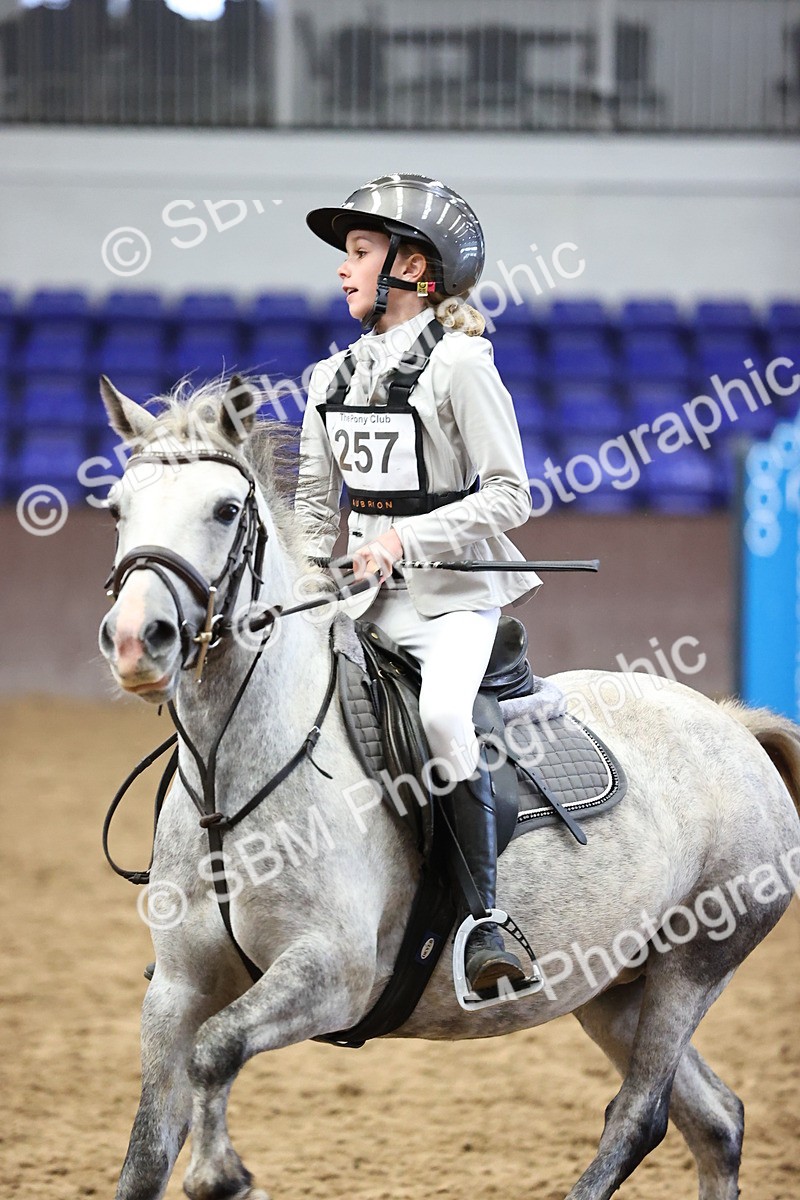 SBM_001054 - Class 4 -  Prestige Design & Workwear  60cm Area 12 Championship Qualifier