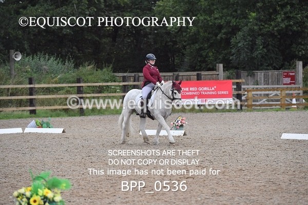 BPP_0536 - MFS PRELIM & NOV