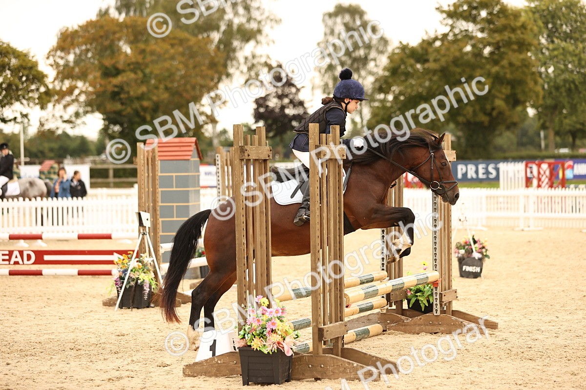 SBM_74239 - J14 - Junior Pony 65cm Championship