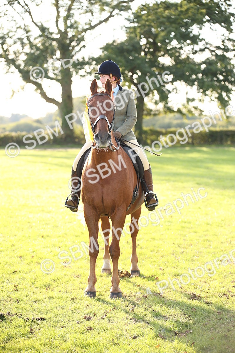 SBM_54364 - S27 - Mature Veteran - Ridden