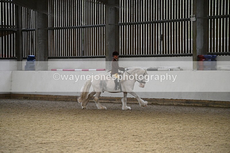 WJ7_3751 - Class 16 Ridden Coloured/ Odd Coloured