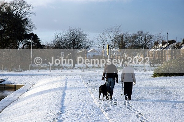 Snow At The Curlie - Walking the Dog