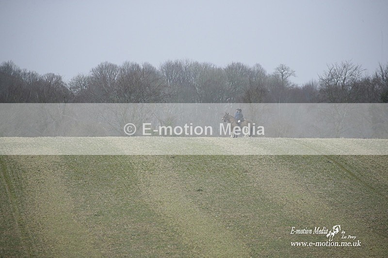 PtP 200222 179 - Countryside Alliance PtP Badbury Rings 20/02/22