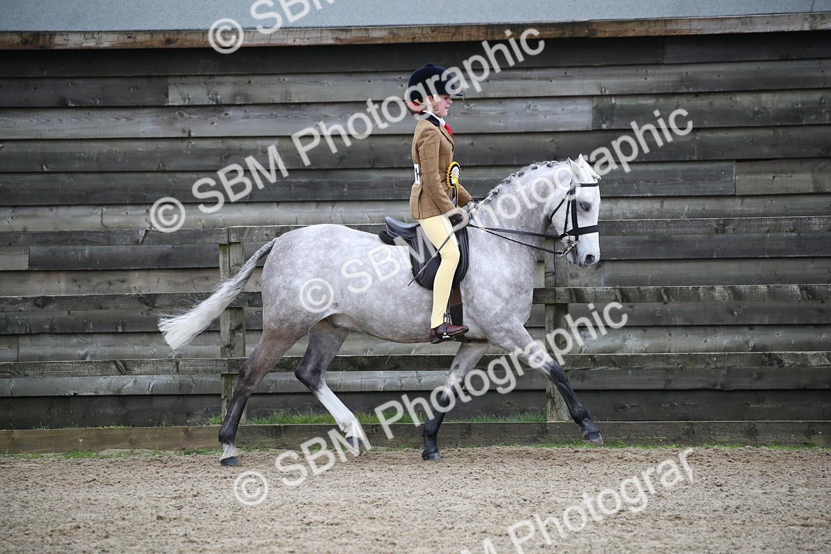 SBM_004702 - Class 5-9 - NPS In Hand-Show Hunter-Intermediate Ridden Inc Ridden Championship