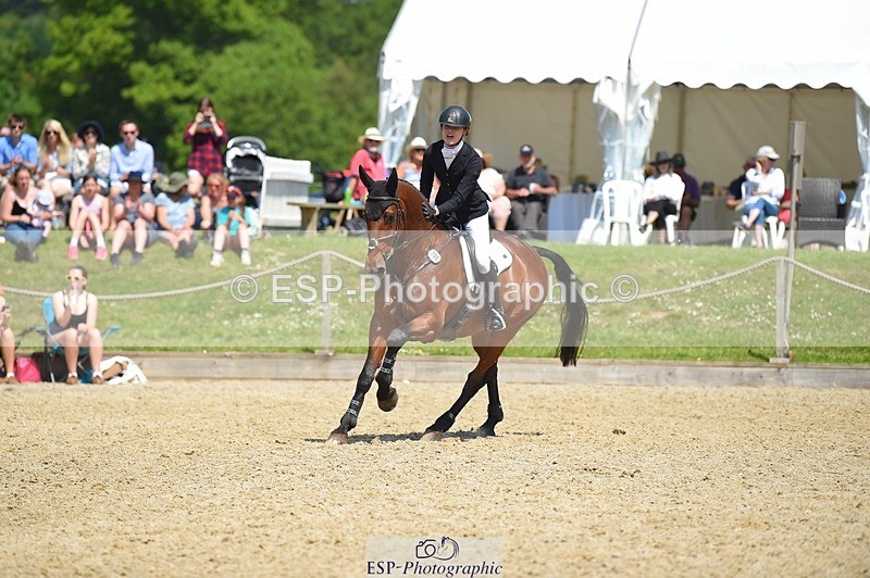 230528-115900-15472 - 306-JELSON-Lucy_Collecott-SUNTrotUp+SJ