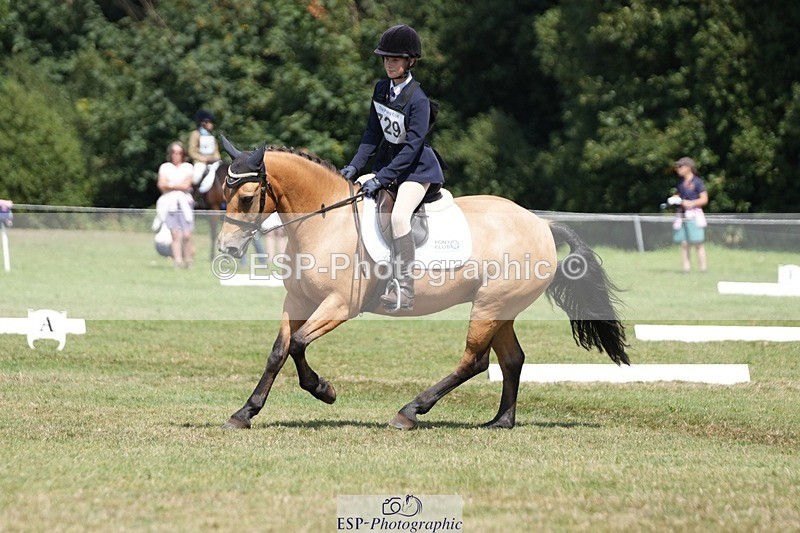 250823A-133700-31056 - Arena B