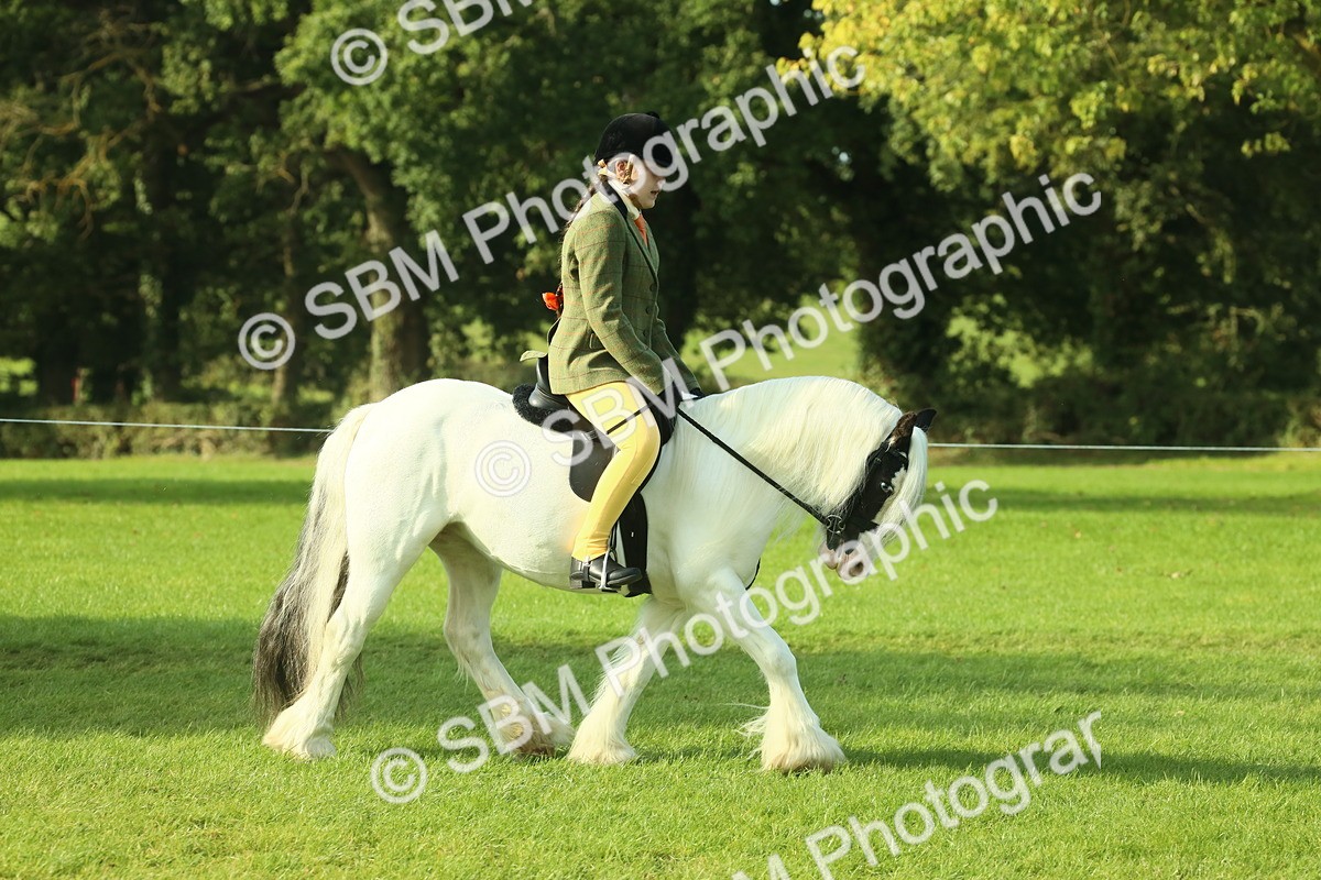 SBM_59814 - S38 - Starters Ridden Showing