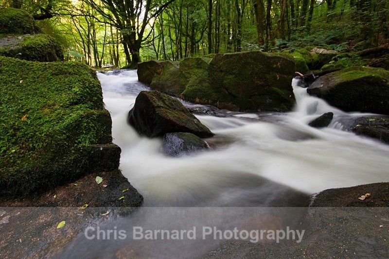 IMG_7690 - Golitha Falls