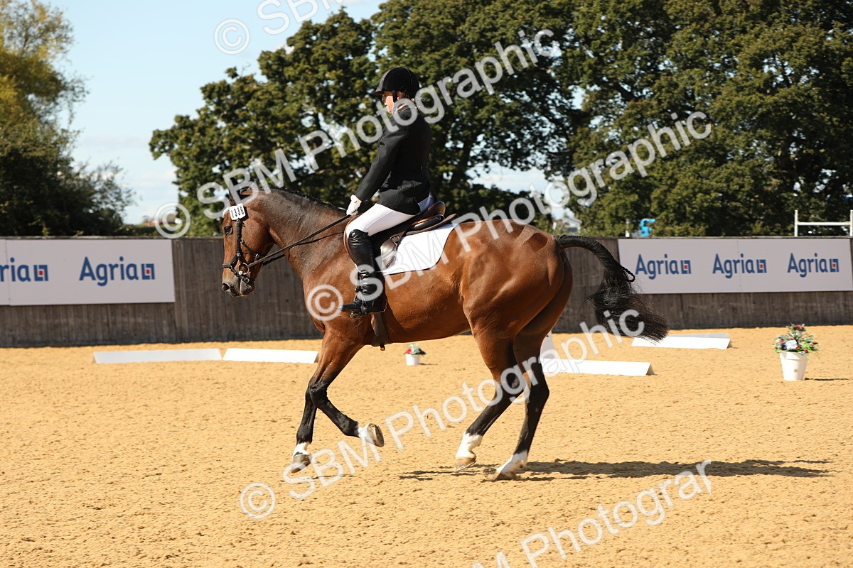 SBM_24465 - D17 - Grand Tour Championship - Novice 27