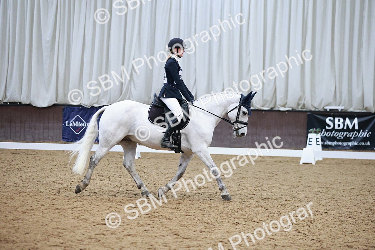 SBM_004579 - Ring 3 - International -  Working Hunter Classes 23-2-25