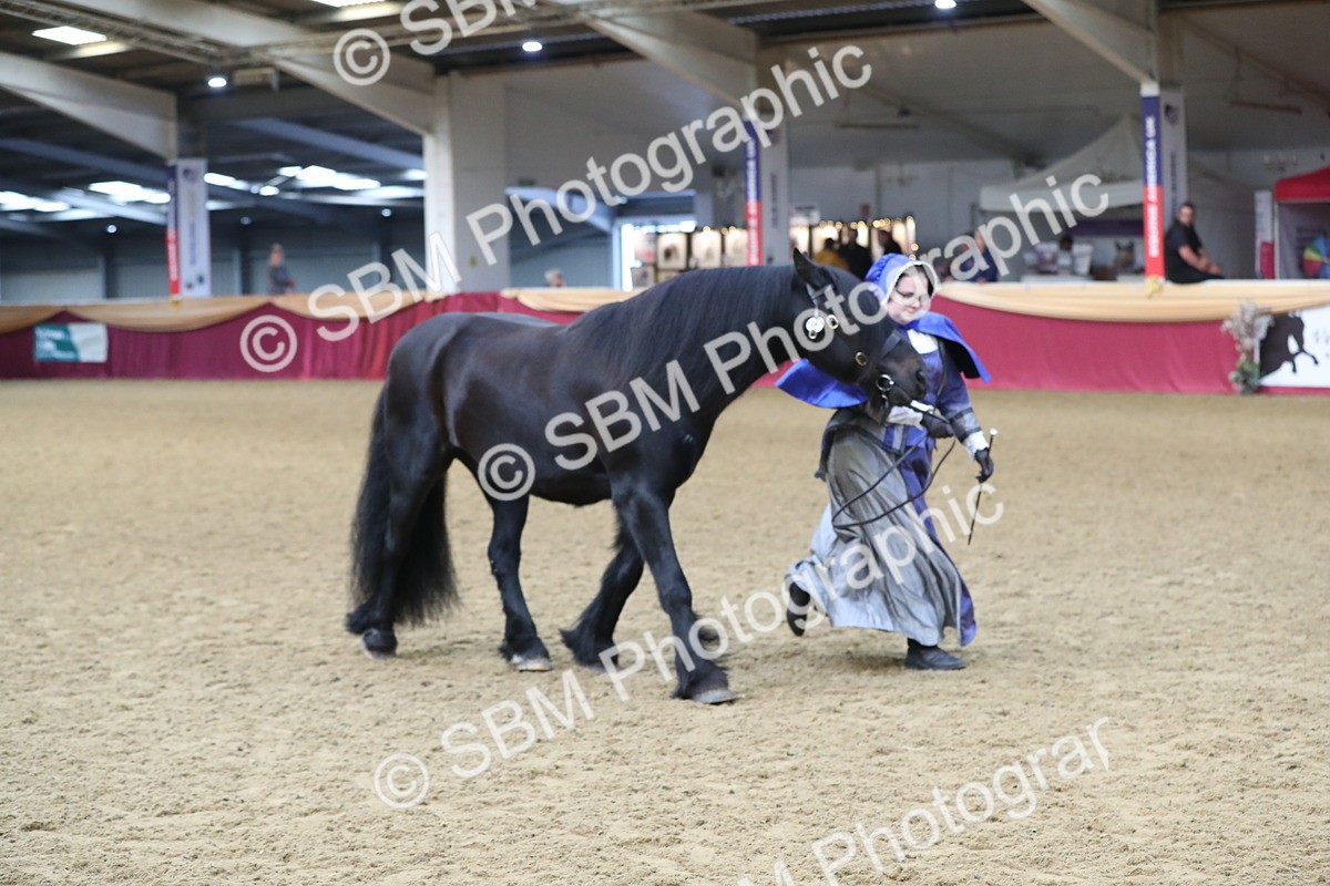 SBM_10773 - Class 103 IH Costume