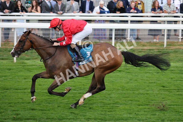 yr22072022r6-16 - Race 6 7.50pm Gallop Racing Stakes