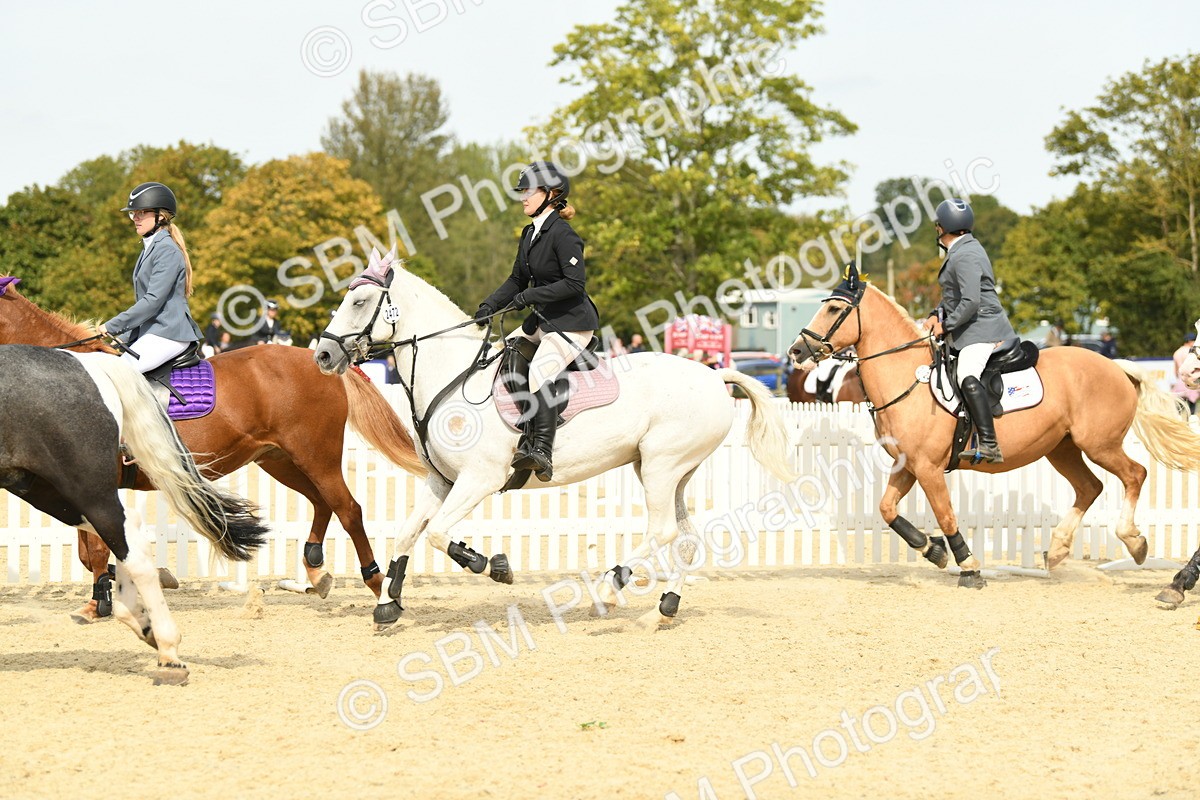 SBM_65316 - J48 - Pairs Jumping Open 70cm & 85cm