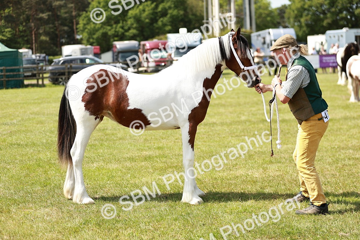 SBM_04187