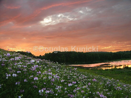 - Photos of the East