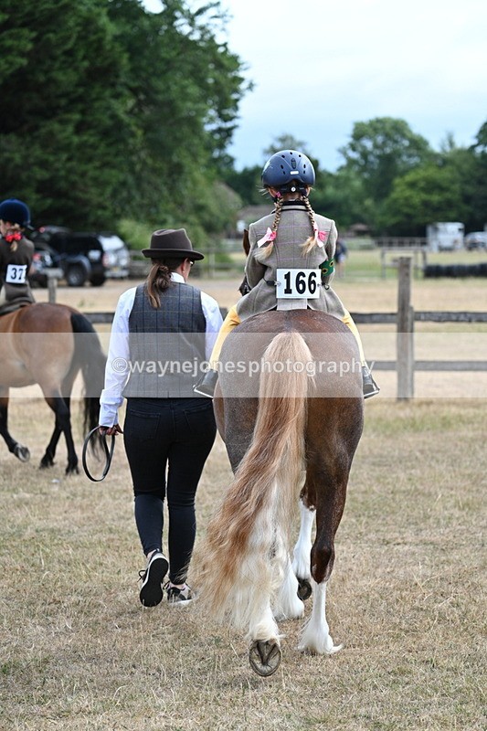 WJ7_6281 - Class 1 Lead Rein Pony