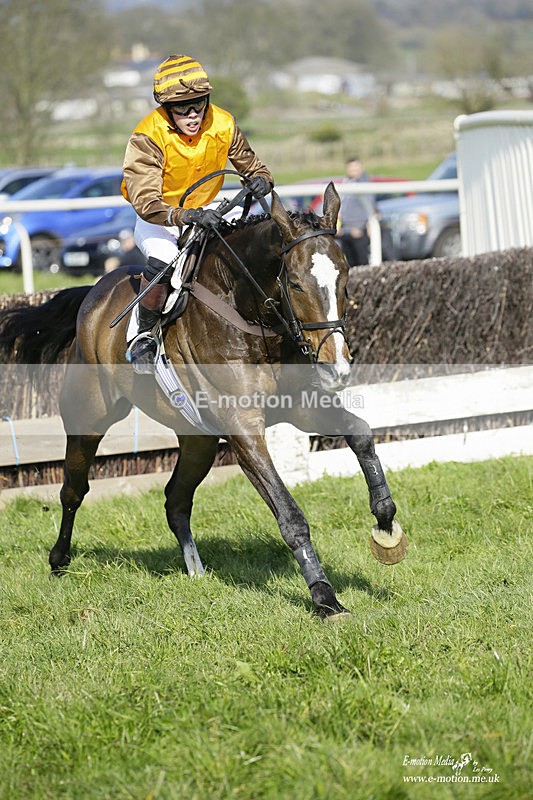PtP 200322 252 - Mendip Farmers Point-to-Point 20/03/22