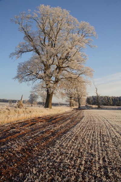 96 - SCOTTISH BORDERS