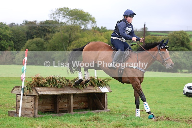 3E7A2170 - Class 6: 90cm +: Box