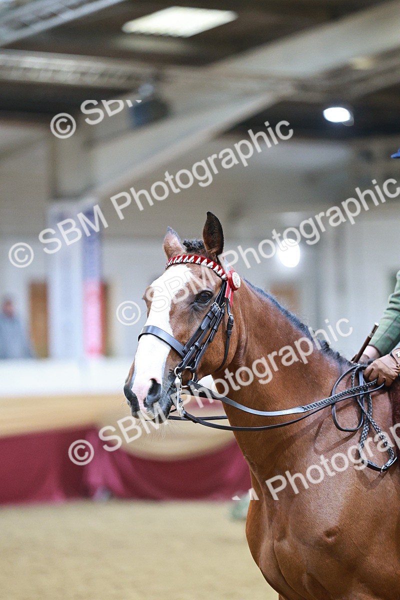 SBM_09049 - Class 12R - Regional Ridden Pre-Vet