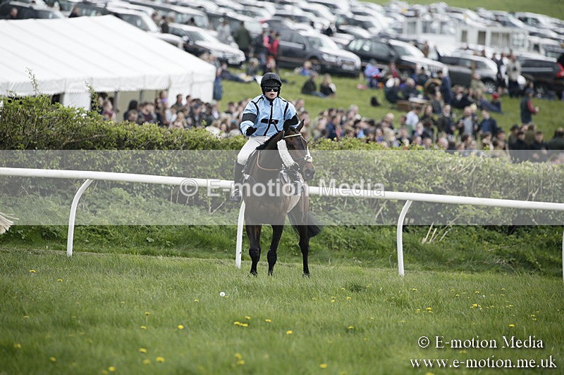 PtP 170417 108 - Old Berks Point-to-Point Lockinge 17/04/17